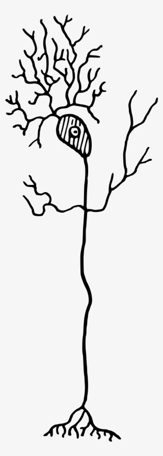 Medium Image - Neuron Clipart