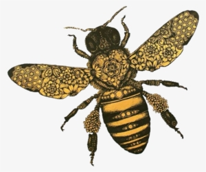 Hfk Bee Tilt - Hopeless Fountain Kingdom Bee