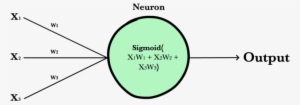 Images/neuron - Neuron Ml
