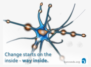 Change Inside Neuron - Six Seconds