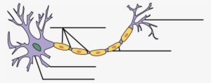 Clipart Free Stock Label The Clip Art At Clker Com - 1 Neuron