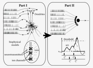 In Part Ii We Exploit The Mathematical And Biophysical - Integrate And Fire Neuron
