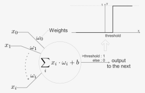 The Above Diagram Shows A Neuron In Nn, It Simulates - Diagram