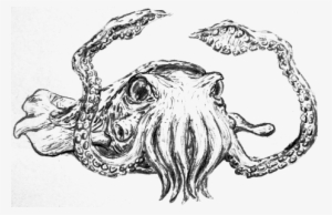 Kraken-priest - D&d 5e Kraken Priest - 378x1000 PNG Download - PNGkit
