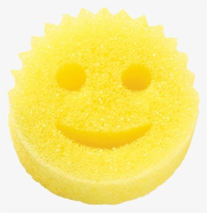 Scrubdaddylogo-300x193 - Scrub Daddy Sponge