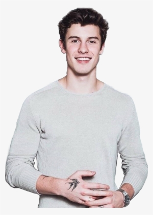 Report Abuse - Shawn Mendes Home Screen