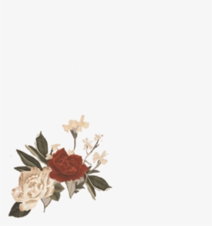 New Shawn Mendes Era - Shawn Mendes Sm3 Flowers