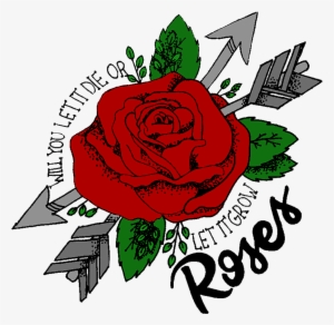 Shawn Mendes Illuminate Lyric Collection - Roses