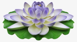 Visit - Wallpaper