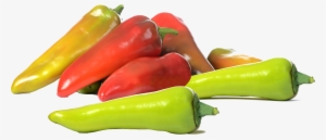 Conical Pepper