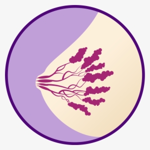 Faq - Pms Boobs Swollen