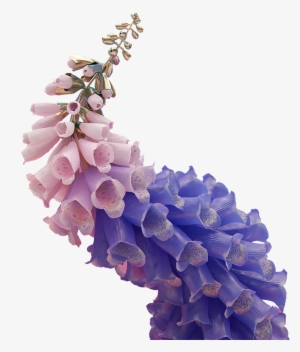 Edit Needs On We Heart It - Flume Skin Flower