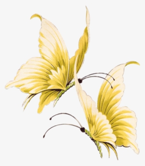 Beautiful Butterfly By Vanessyca71-d3d2dnf - Gold Butterfly Transparent Background