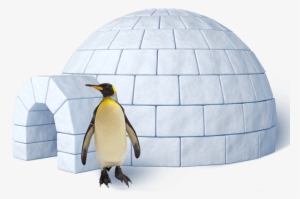 Graphic Royalty Free Penguins Our King And Gentoo At - Igloo House
