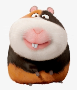 Norman The Secret Life Of Pets - Secret Life Of Pets Guinea Pig Name