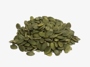 Pumpkin Seeds Png - Fasting In Islam