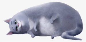 Image Chloe Laying Png The Secret Life Of Pets Wiki - Chloe Life Of Pets