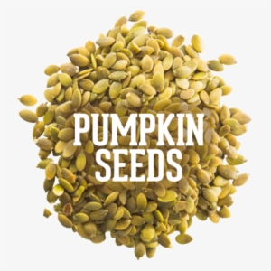 803954463 - Pumpkin Seed