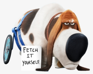 Бассет-хаунд Попс - Quote The Secret Life Of Pets