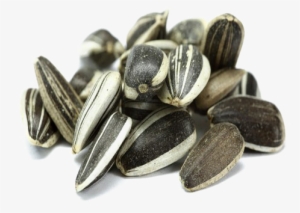 Sunflower Seeds Png Free Download - Ulei De Floarea Soarelui Presat La Rece