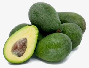 Fuerte Avocado