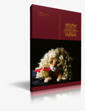 Mythtym - Book Cover
