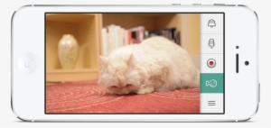 Kittyo Interface - Smartphone