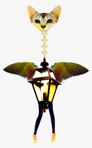 “angels Of The Internet” By Combining Multiple Different - Cat