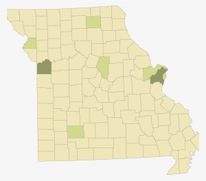 Sexual Orientation - Illustration