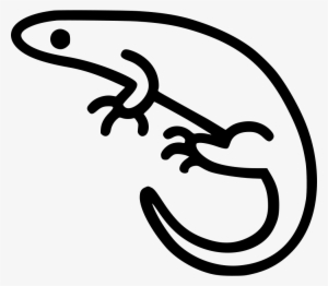 Png File - Icon