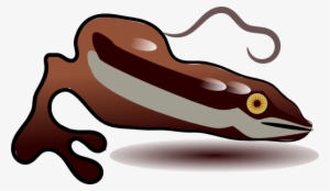 Original Png Clip Art File Salamander Svg Images Downloading