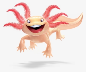 Axolotl Vbs Clipart Salamander Axolotl Clip Art - Weird Animals Vbs Day 1