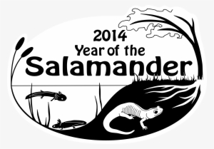 Partners In Amphibian And Reptile Conservation Is An - Cafepress 2014 Year Of The Salamander Calendar