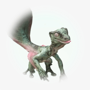 Small Salamander - Black Desert Online