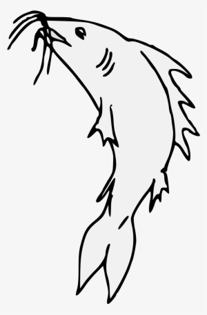 Catfish Haurient Embowed