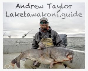 Blue Catfish Report Lake Tawakoni - Santa Takes A Vacation