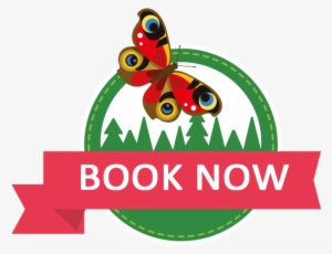 Schools & Groups - Graphics