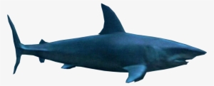 Deep Blue Sea Mako Shark Png By Sonic2006fan-dca2jn5 - Deep Blue Sea