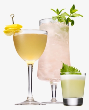 Yuzuri Cocktails - « - Cocktail