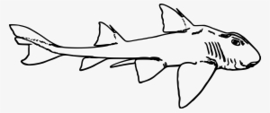 This Free Icons Png Design Of Port Jackson Shark