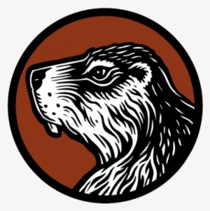 Beavers