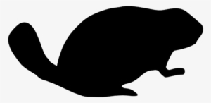 Beaver Png Image Background - Portable Network Graphics