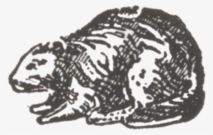 About The Beaver Press Print Shop - Hippopotamus