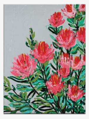 Anna Z - Protea
