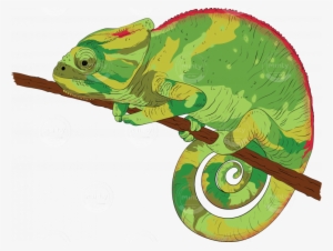 Chameleon - Illustration