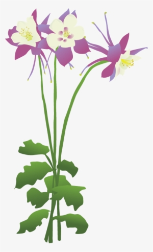 Encode Clipart To Base Convert - Columbine Flower Kids Clipart