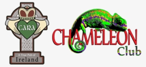 Follow - Chameleon Club Dover Nh