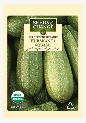 Organic Hurakan F-1 Squash Seeds - Seeds Of Change 21076 Organic Zesty Cln Quinoa Blend