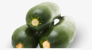 Zucchini