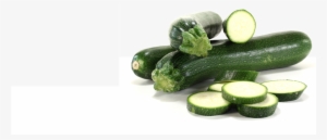 Summer Squash - Zucchini